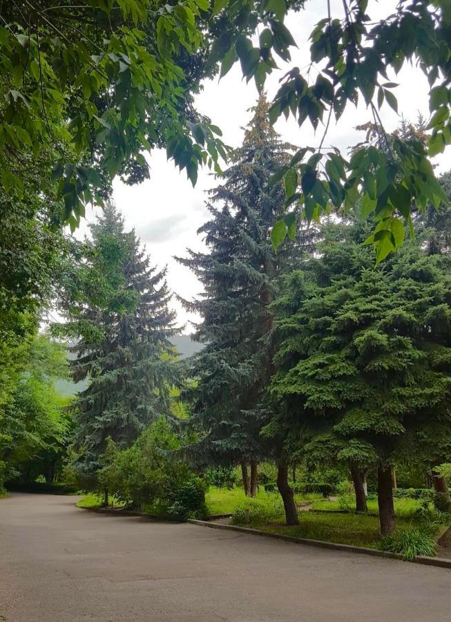 Vanadzor Armenia Health Resort & Hotel エクステリア 写真