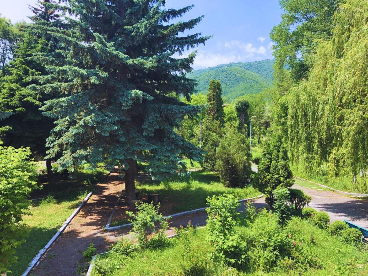 Vanadzor Armenia Health Resort & Hotel エクステリア 写真